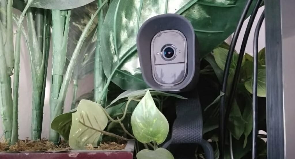 security cam in leaves hidden